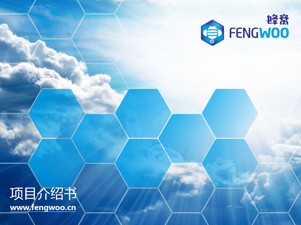 蜂窝网项目介绍书_网络营销教程