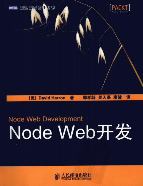 Node Web开发 PDF_前端开发教程