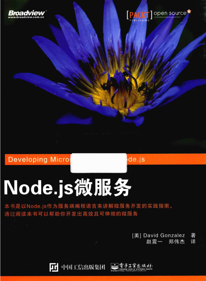 Node.js微服务_前端开发教程