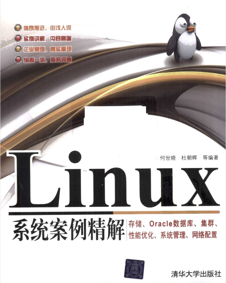 Linux系统案例精解 存储、Oracle数据库、集群、性能优化、系统管理、网络配置_操作系统教程
