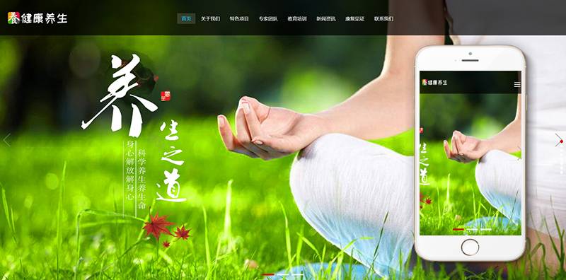 织梦响应式经络养生健康类网站织梦模板(自适应手机端)插图(1)