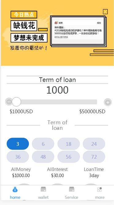 C138 金融源码_英文版小额借款平台,已查杀木马插图(3)