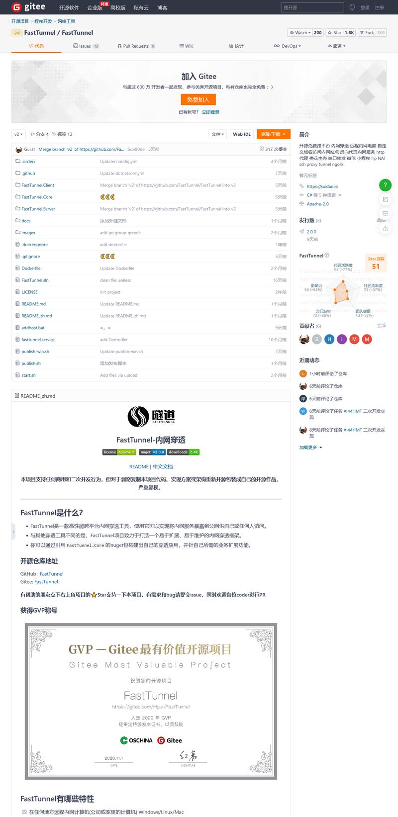 FastTunnel高性能跨平台内网穿透工具 v2.0.4插图