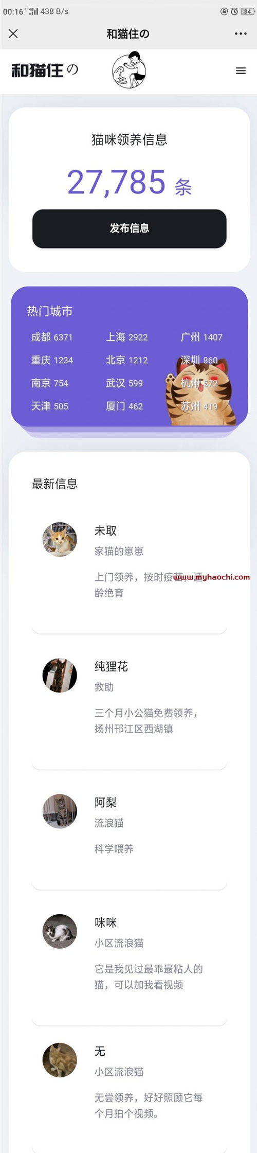 流浪猫流浪狗发布H5源码下载 带演示插图(1)