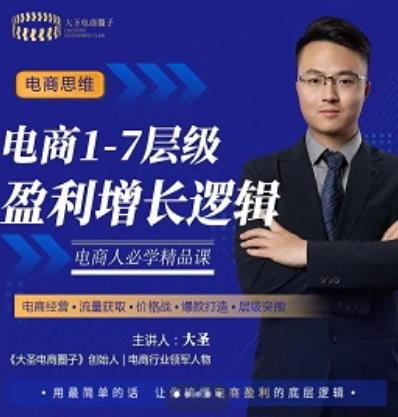 电商1-7层级盈利增长底层逻辑课：用简单的话，让你掌握电商盈利的底层逻辑插图