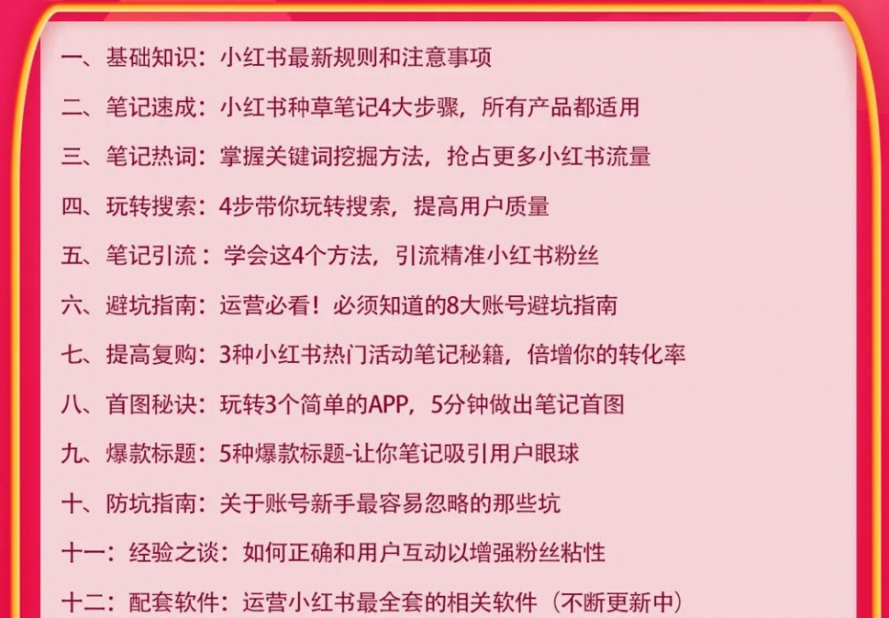 小红书爆款推广引流训练课9.0，手把手带你玩转小红书 一部手机即可月入万元插图