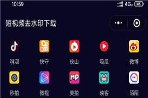 抖音短视频无水印视频下载神器