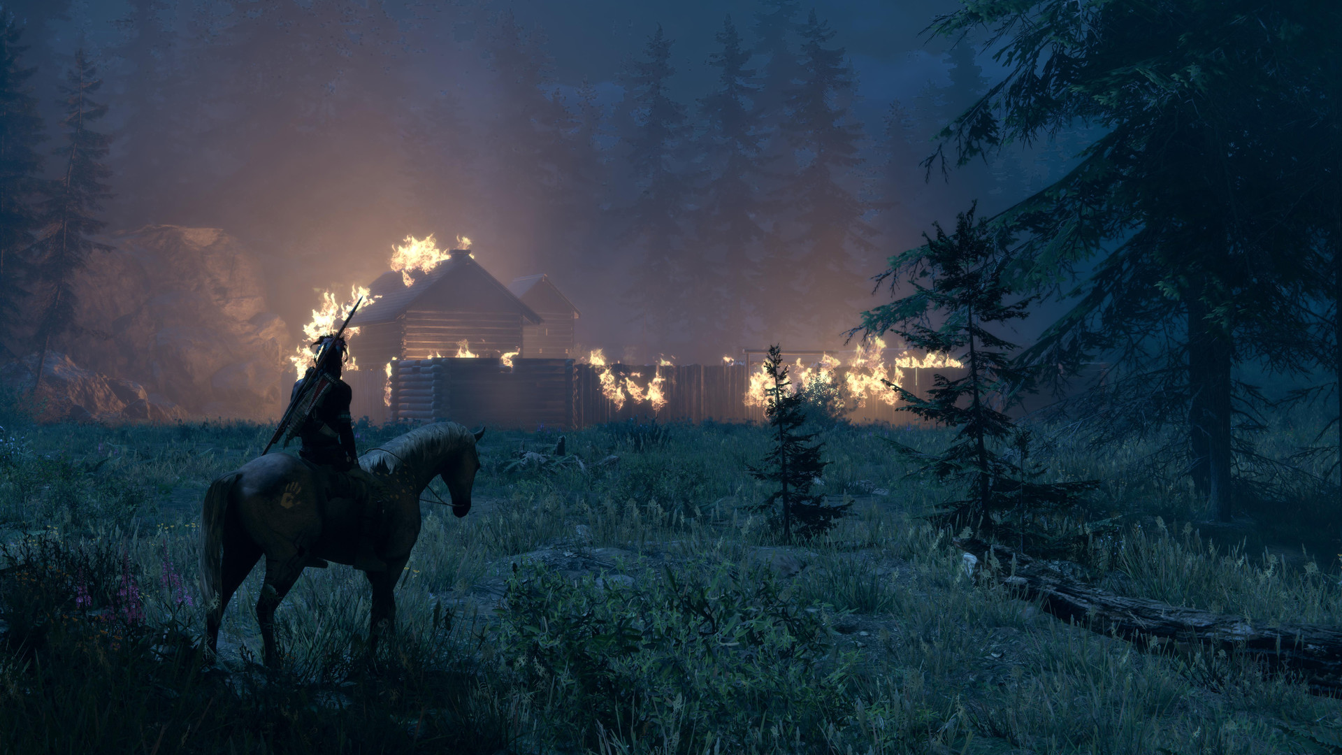 这是我的土地/This Land Is My Land插图(3)