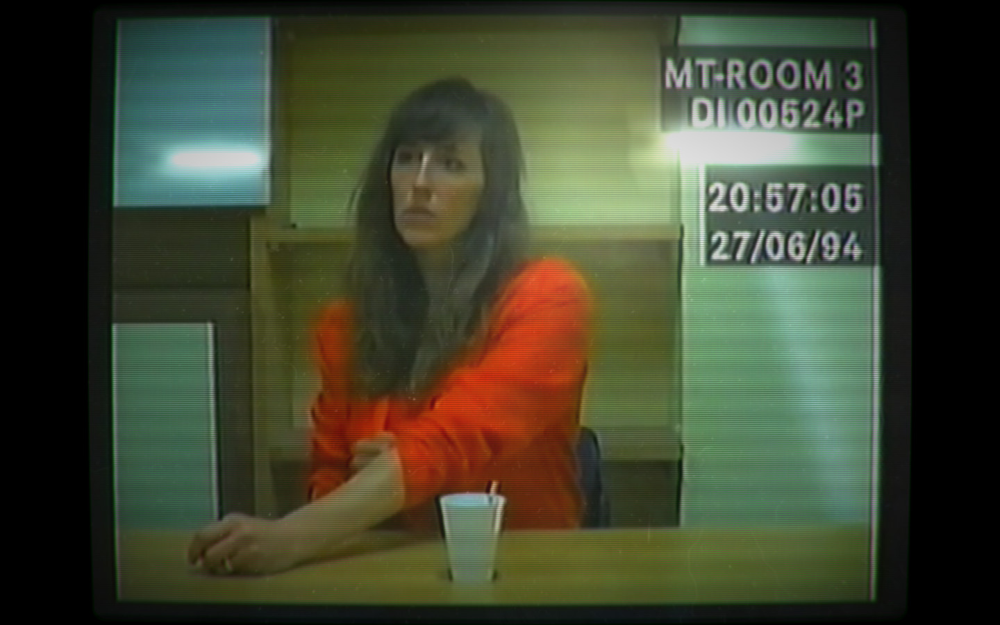 她的故事/Her Story插图(1)