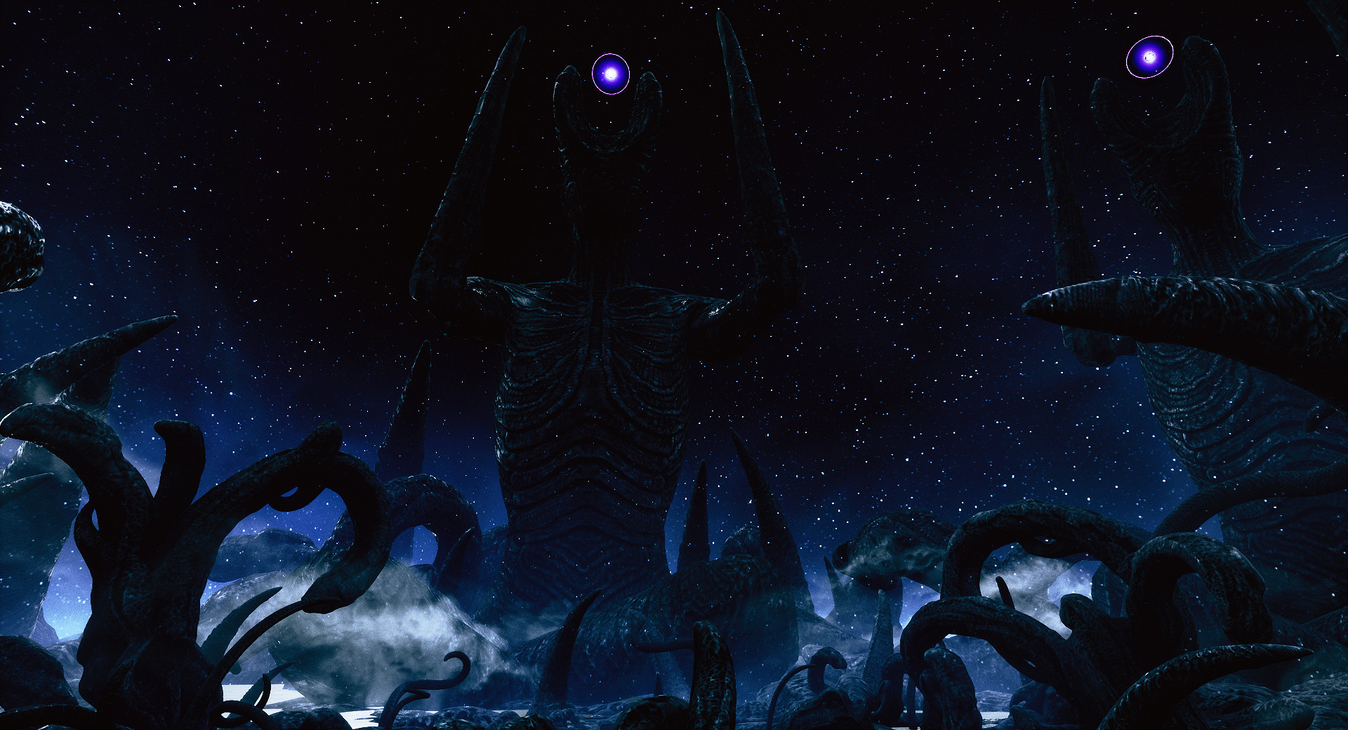 岸边/海岸/The Shore插图(2)