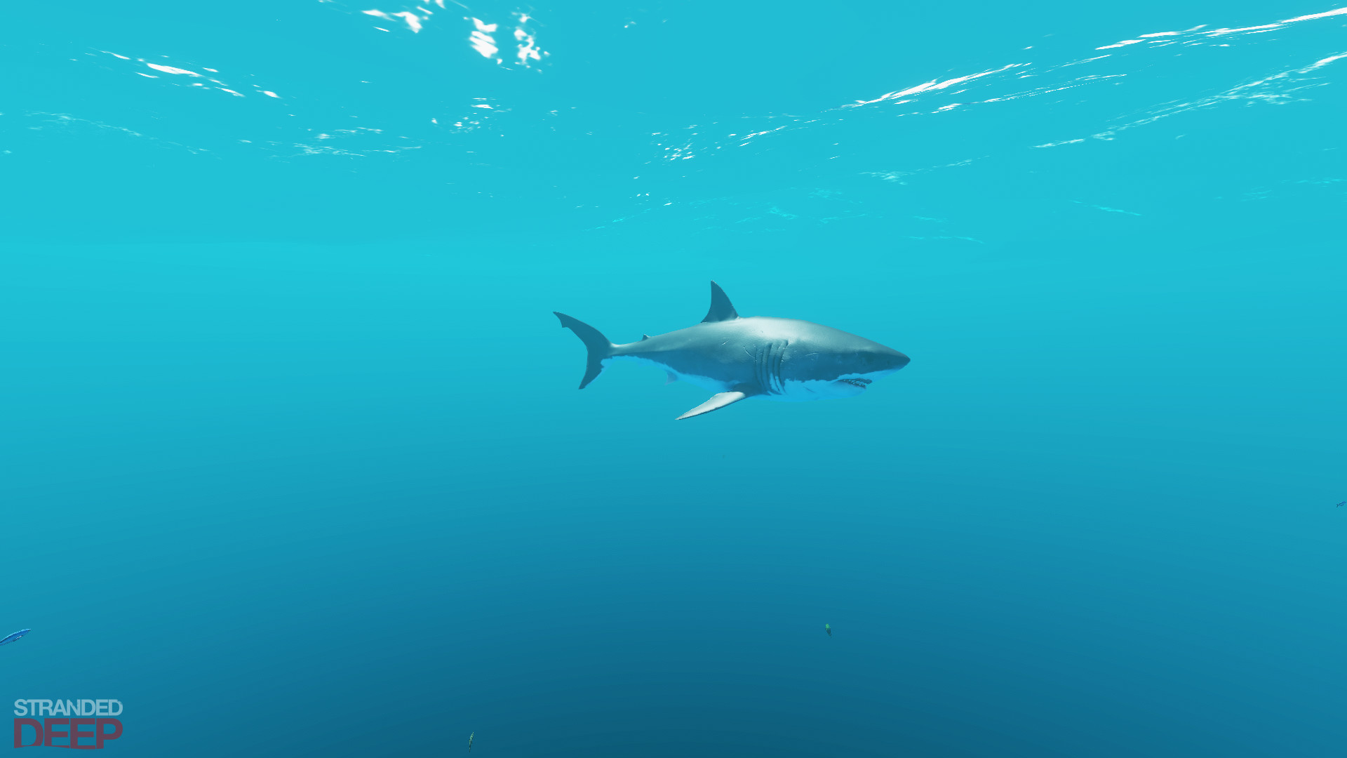 荒岛求生插图(7)