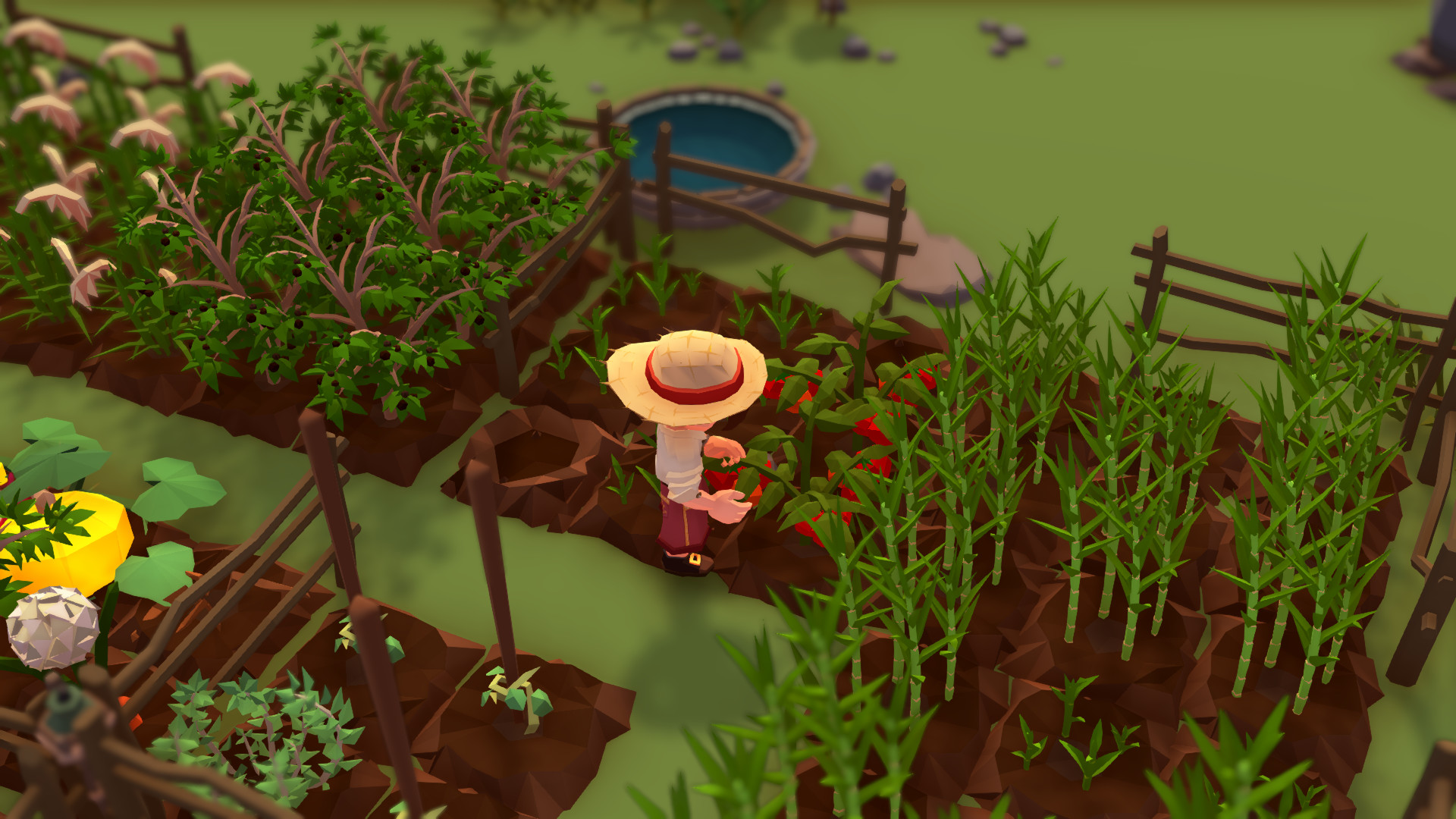 落难航船:诅咒之岛的探险者插图(2)