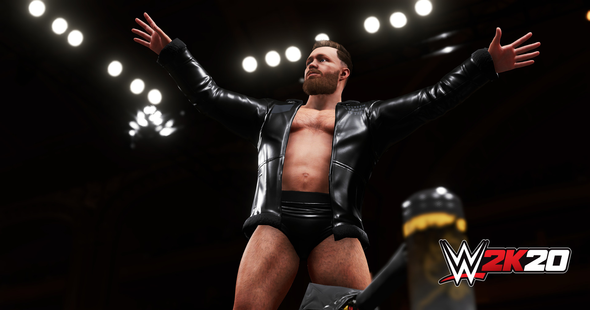 WWE 2K20/单人.同屏多人插图(3)