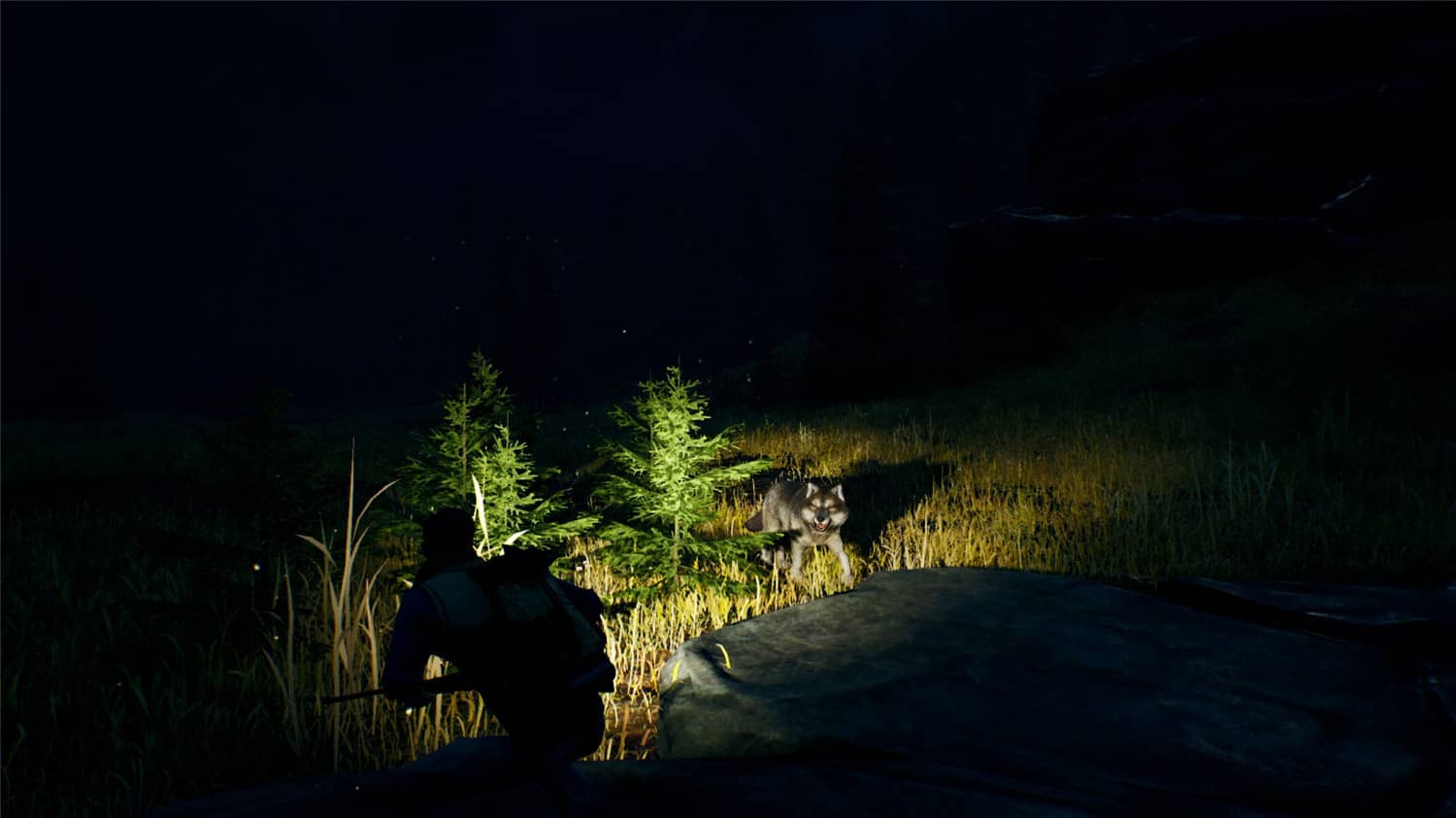 辽阔旷野/Open Country插图(2)