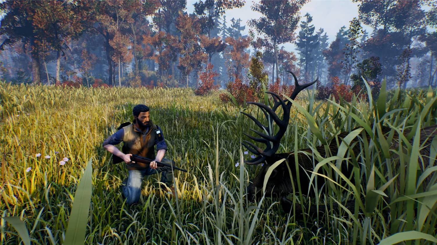 辽阔旷野/Open Country插图(5)