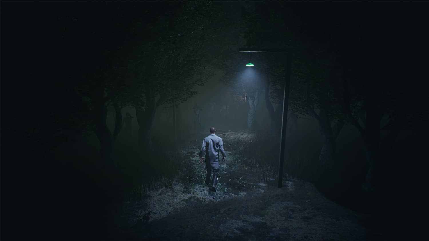 疯狂之源/疯狂根源/Roots of Insanity插图(1)