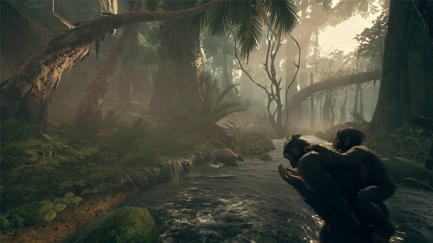 先祖：人类奥德赛/Ancestors: The Humankind Odyssey插图(2)