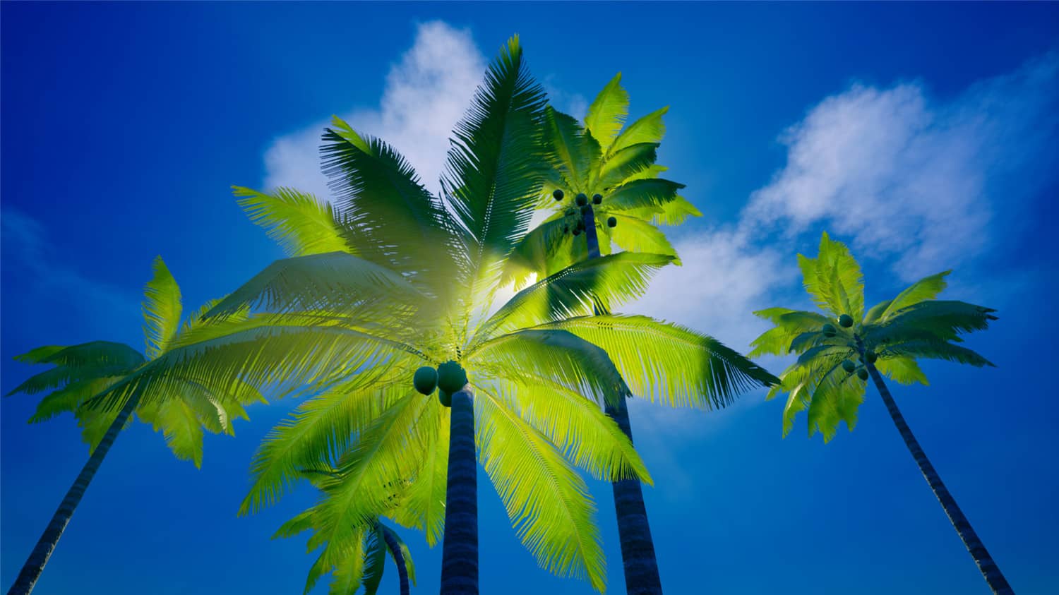 我的海岛/My Island插图(6)