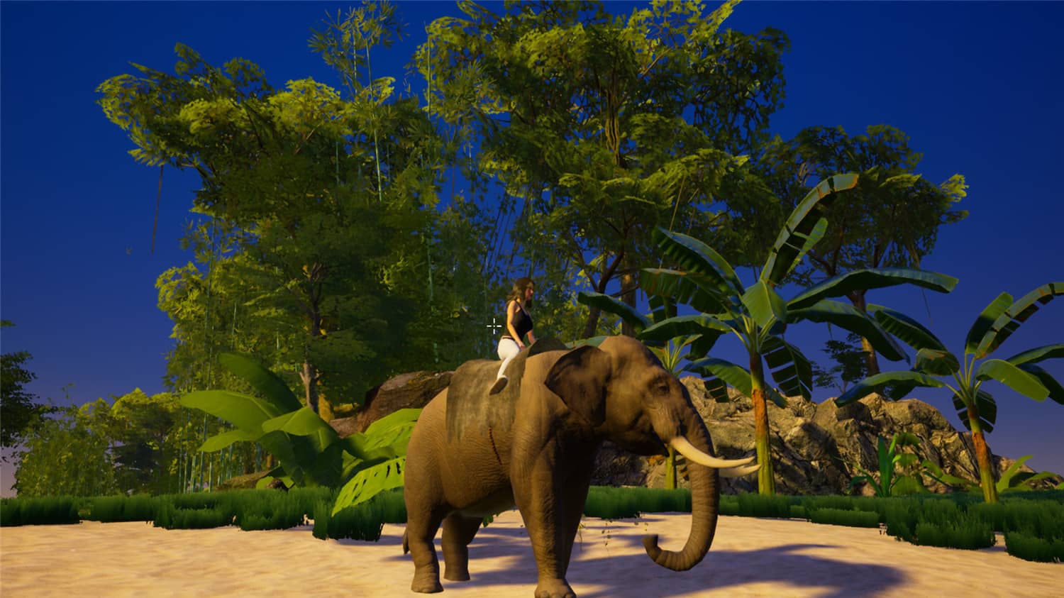 我的海岛/My Island插图(4)