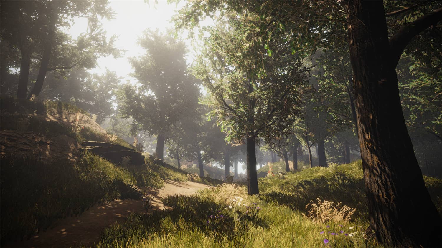 城堡脚蹼/城堡达人/Castle Flipper插图(4)