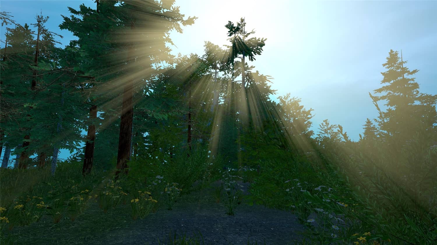 荒野的试炼/Trials of Wilderness插图(5)