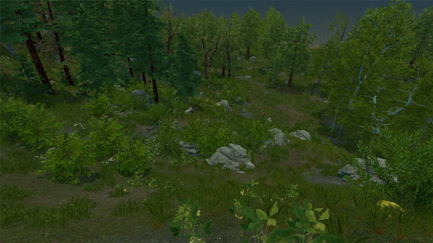 荒野的试炼/Trials of Wilderness插图(2)