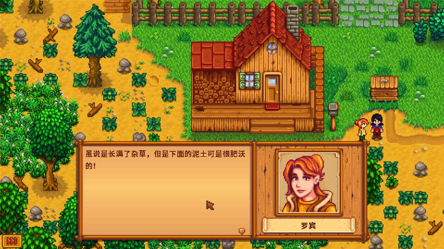 星露谷物语/Stardew Valley插图(3)
