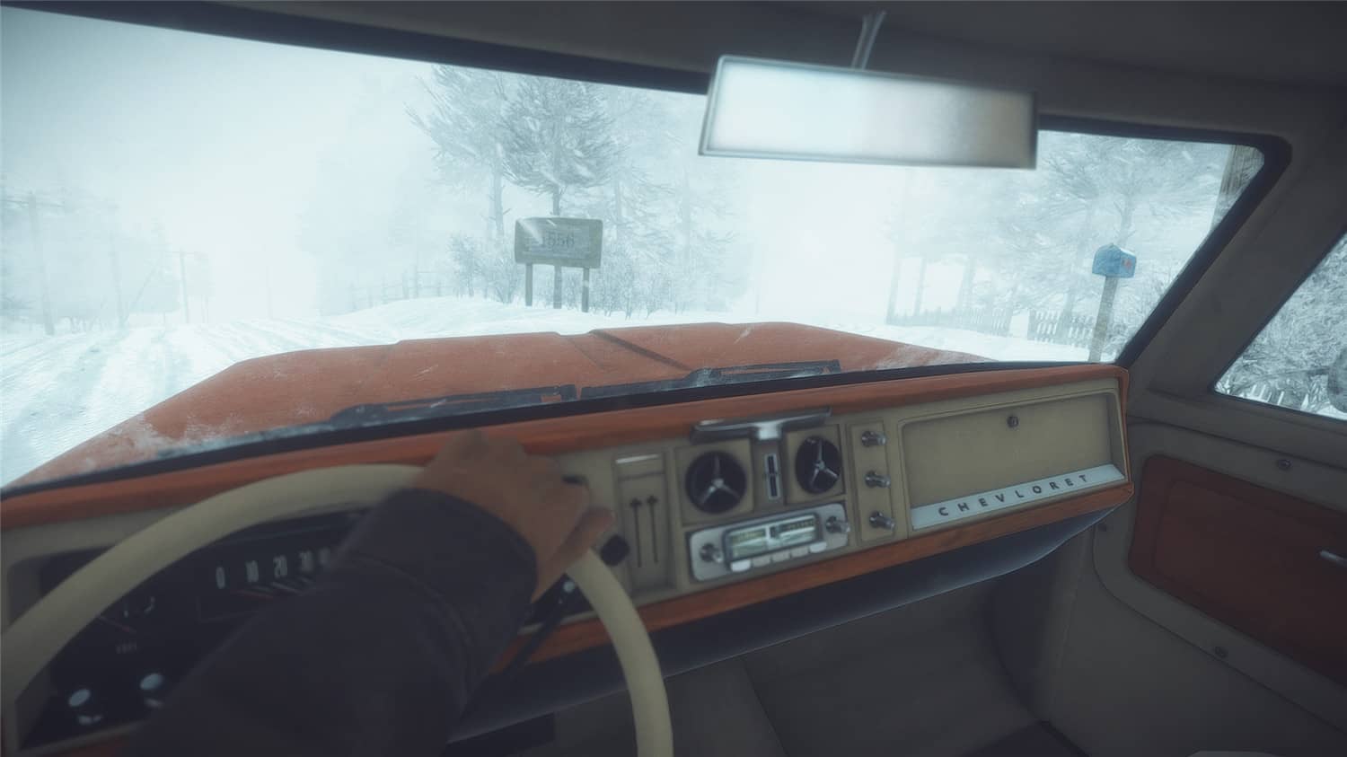 科纳风暴/Kona插图(1)