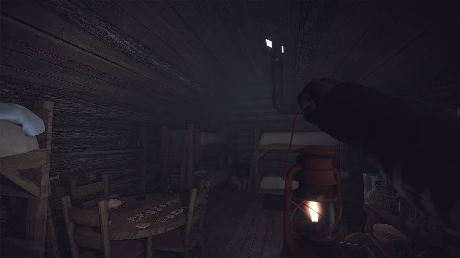 科纳风暴/Kona插图(5)