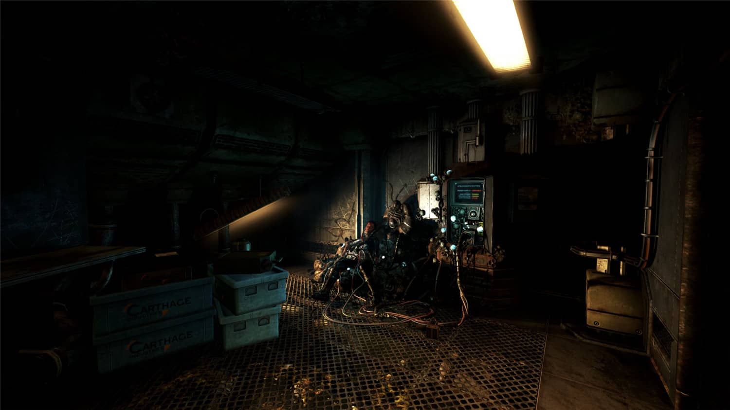 活体脑细胞/SOMA插图(5)