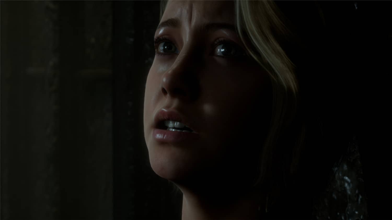 黑相集：棉兰号,The Dark Pictures Anthology: Man of Medan,The Dark Pictures: Man of Medan插图(3)