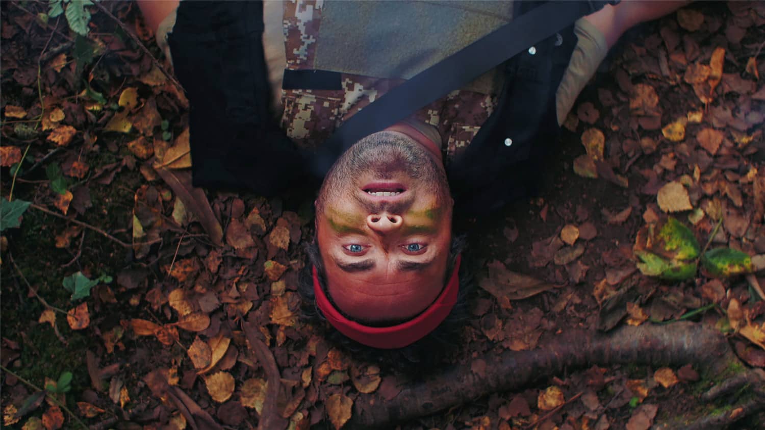 血岸岛/Bloodshore插图(3)