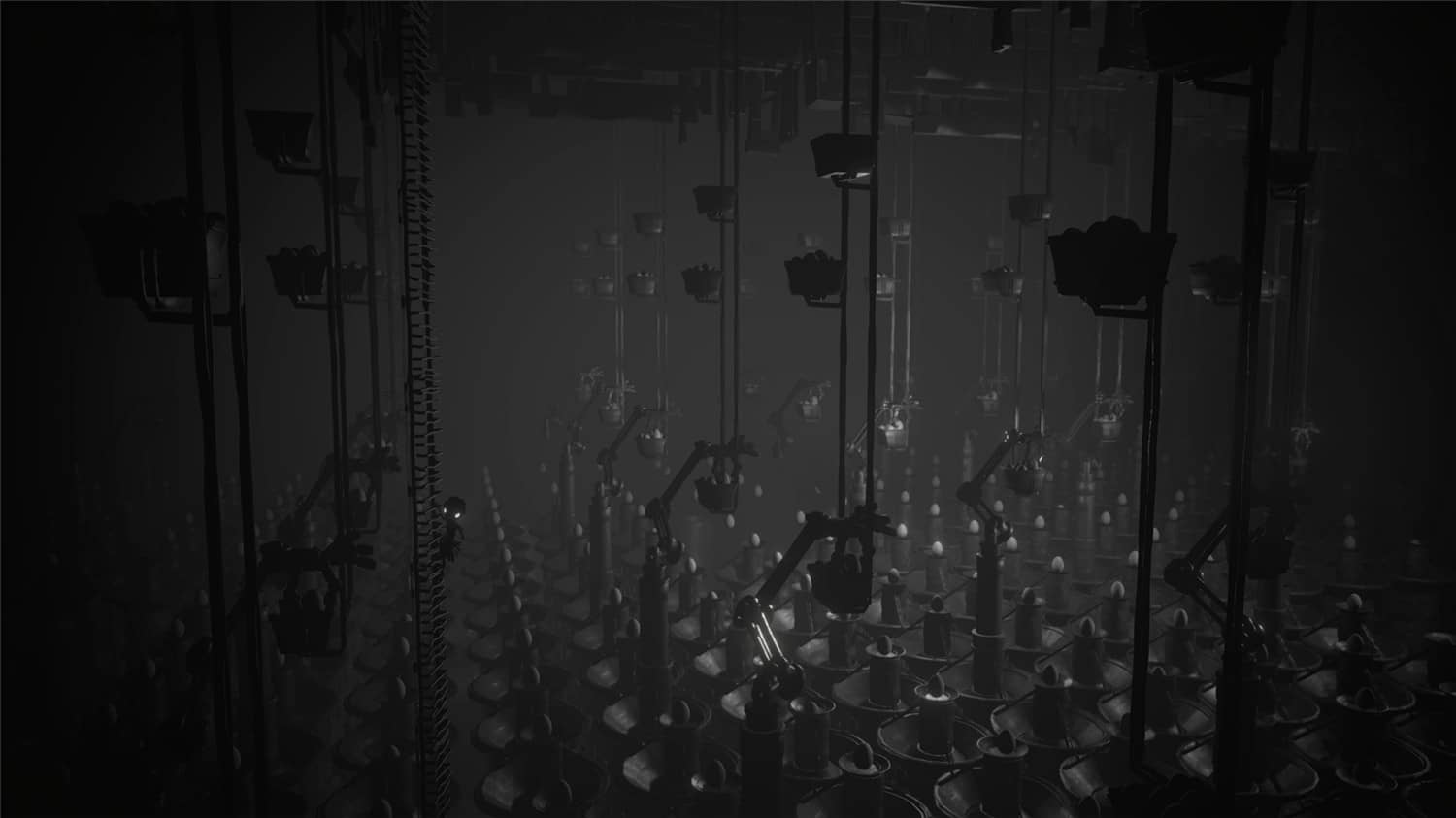 白影/白色阴影/White Shadows插图(2)