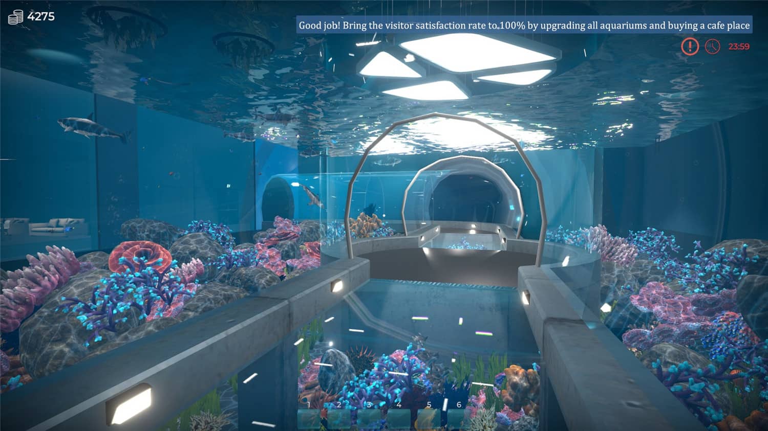Aquarist – 建造水族馆，养鱼，发展你的事业！插图(1)