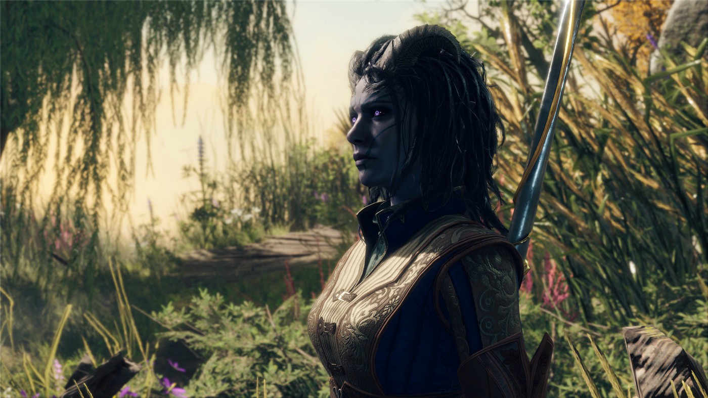 博德之门3/Baldur\\\\’s Gate 3插图(3)