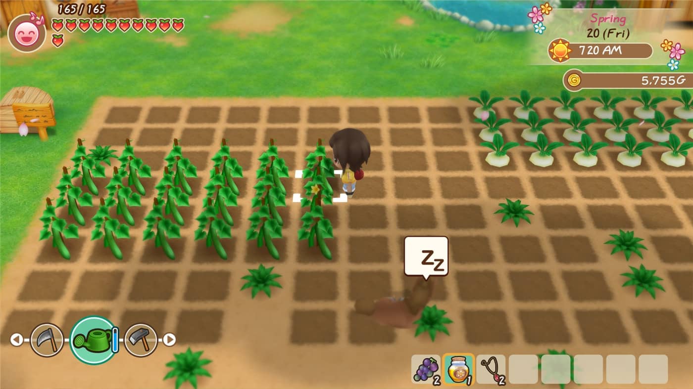 牧场物语：重聚矿石镇,牧场物语再会矿石镇的伙伴,Story of Seasons: Reunion in Mineral Town插图(1)