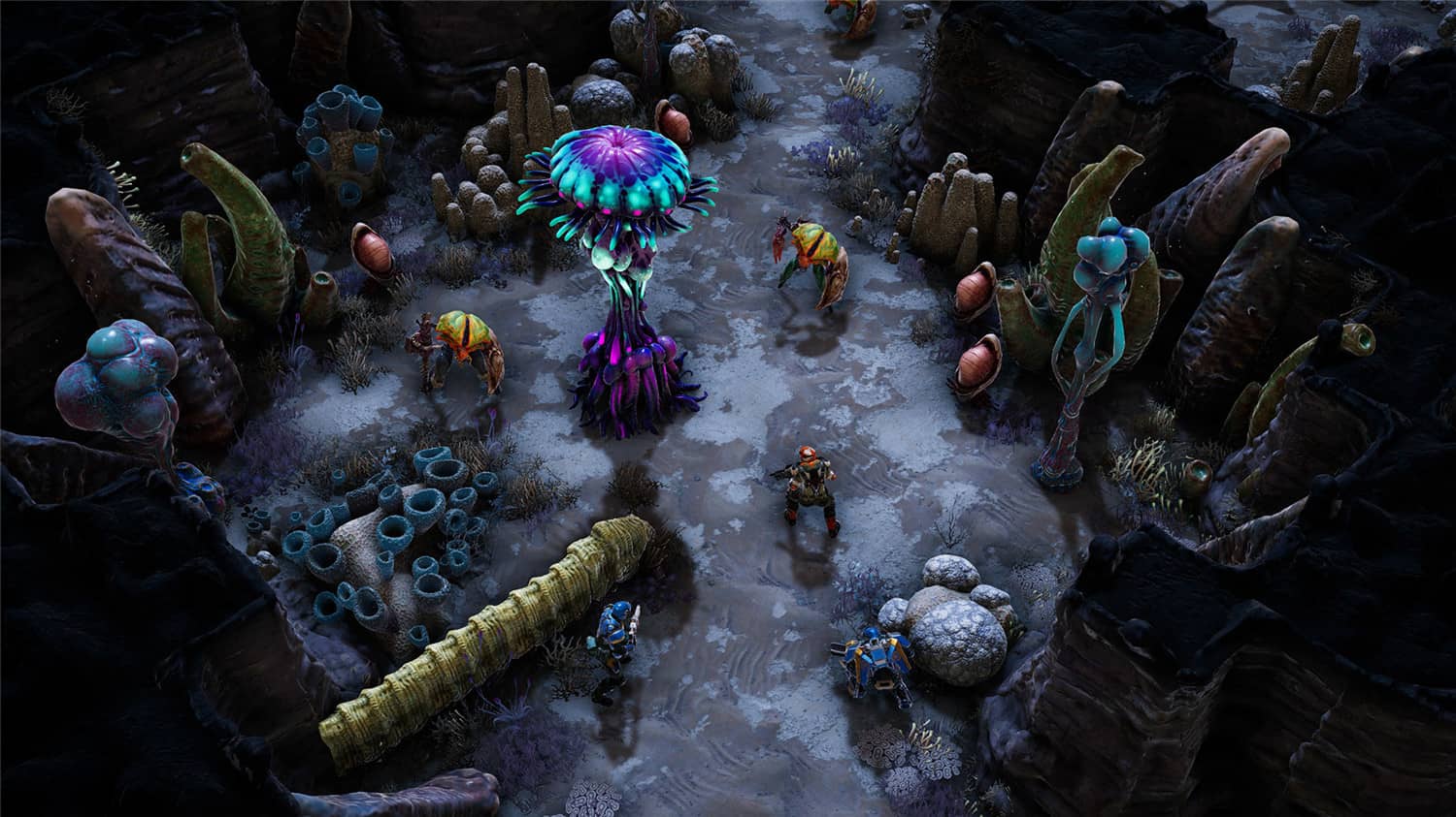 凤凰点：周年版/Phoenix Point: Year One Edition插图(6)