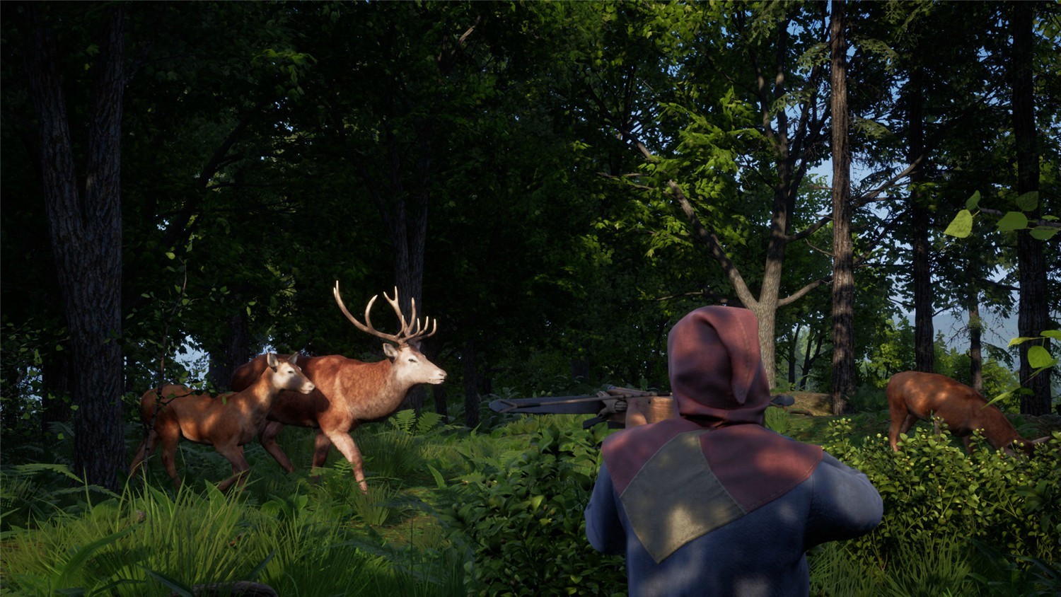 中世纪王朝数字支持者版/Medieval Dynasty Digital Supporter Edition插图(5)