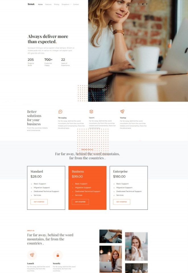 Bootstrap商务咨询服务公司网站模板插图