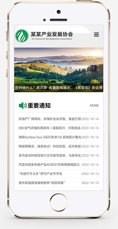 (自适应手机端)政府协会网站源码 绿色pbootcms产业发展协会网站模板插图(1)