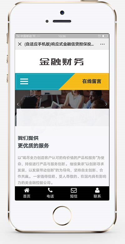 (自适应手机版)响应式金融信贷担保投资风险类织梦模板插图