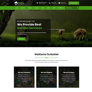 色的花园设计服务Bootstrap网站html模板